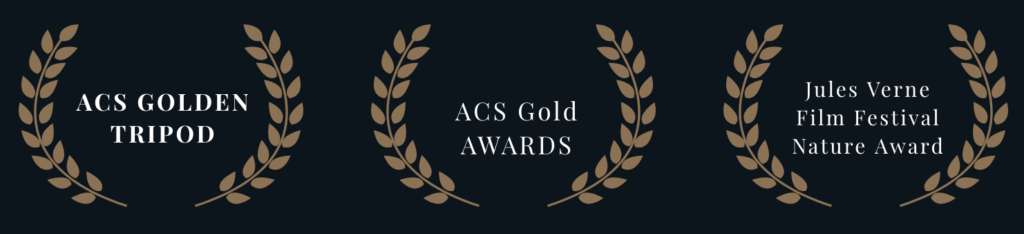awards_3up