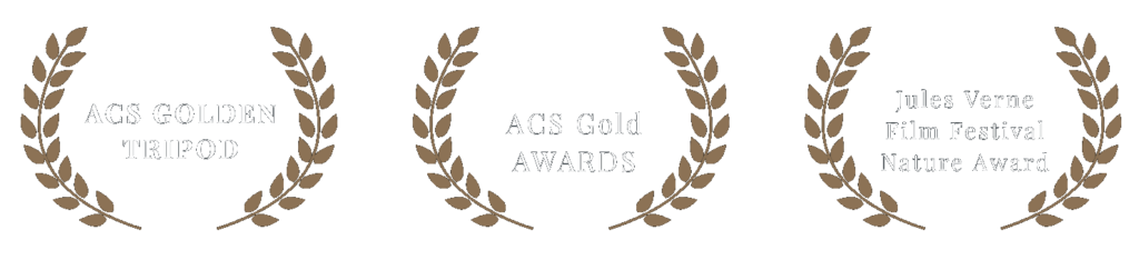 awards_3up_transparent